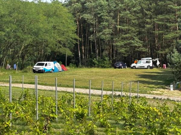 Kemping Park Winna Górka