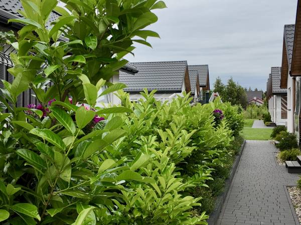 Sarbinowska Jaskółka