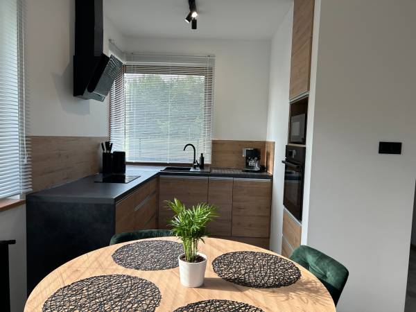 Pod Brzozami- Domki całoroczne