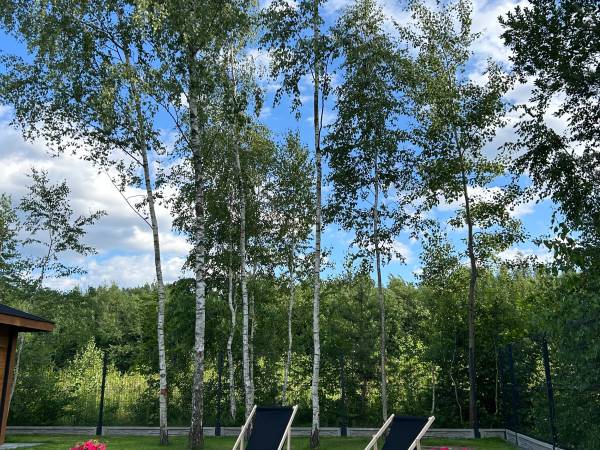 Pod Brzozami- Domki całoroczne