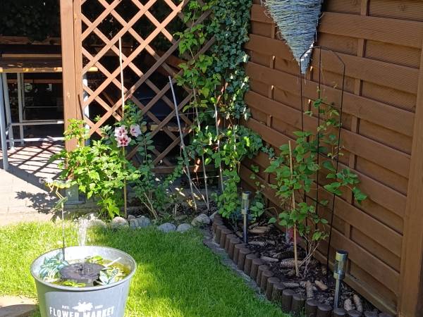 Gościnny Dom Letni Róża Wiatrów