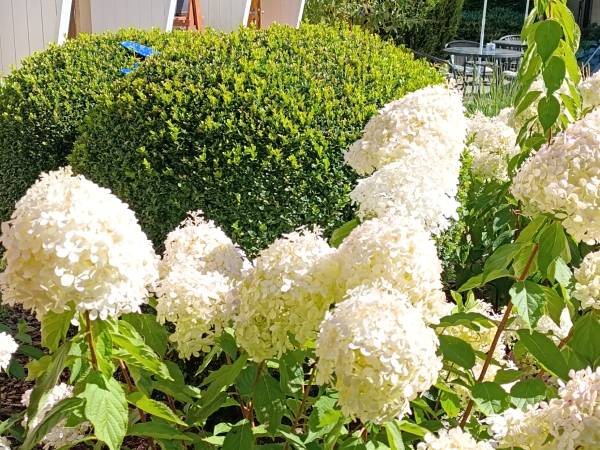 Gościnny Dom Letni Róża Wiatrów