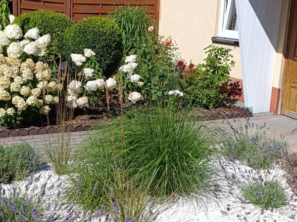 Gościnny Dom Letni Róża Wiatrów