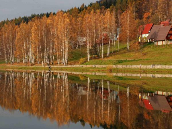 Domki Letniskowe Merkury - Góry Stołowe - Radków
