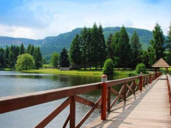 Domki Letniskowe Merkury - Góry Stołowe - Radków