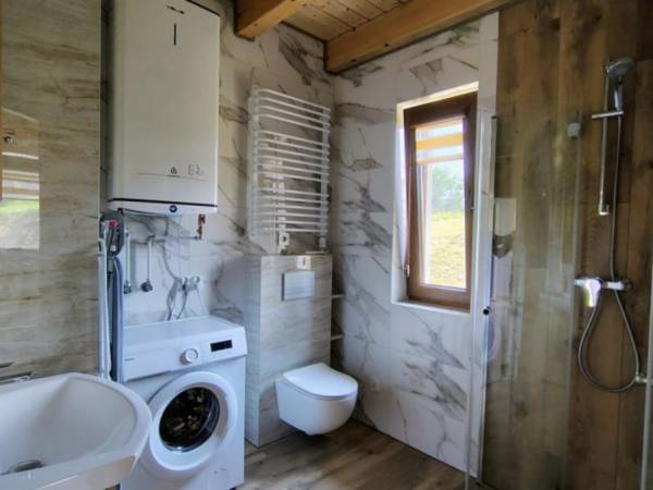 Bliźniak nad stawem