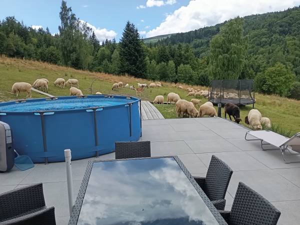 Zielone Wzgórze Dom Całoroczny na wyłączność w Beskidach