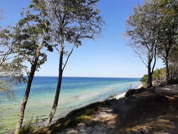 Widok z klifu w Poddąbiu 