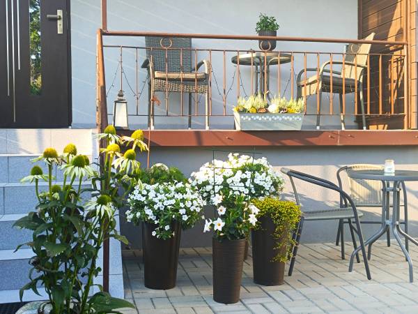 Apartament Slowly Zamość - na wyłączność, z ogrodem