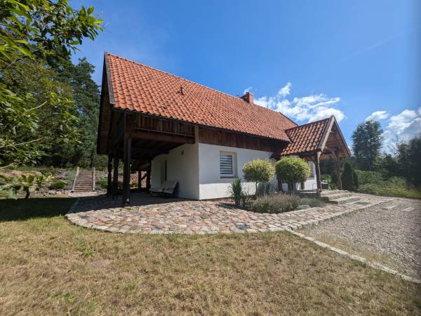 Król Puszczy nad jeziorem Mokre