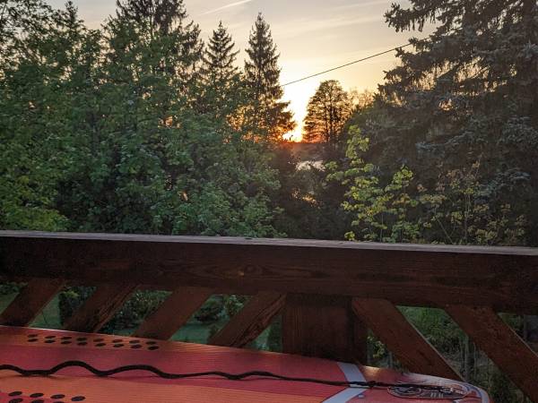 Król Puszczy nad jeziorem Mokre