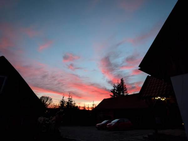 Król Puszczy nad jeziorem Mokre