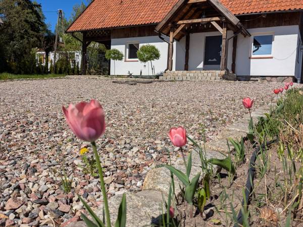 Król Puszczy nad jeziorem Mokre