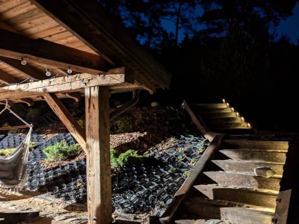 Król Puszczy nad jeziorem Mokre