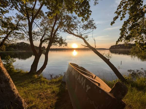Król Puszczy nad jeziorem Mokre