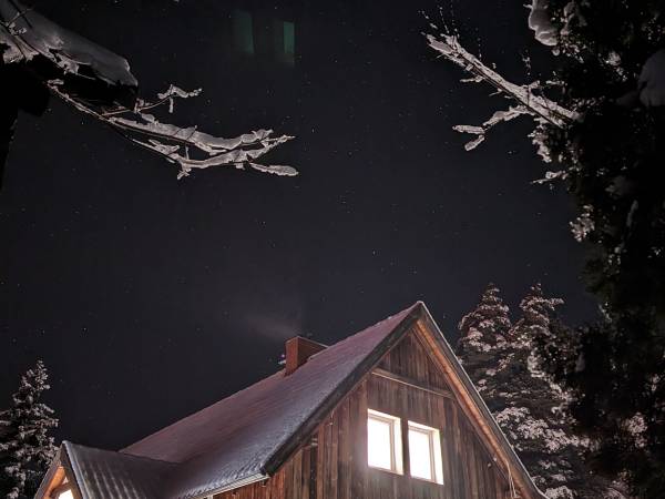 Król Puszczy nad jeziorem Mokre