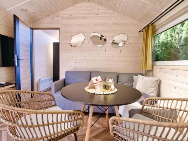 Salon z wygodną sofą – idealne miejsce na relaks