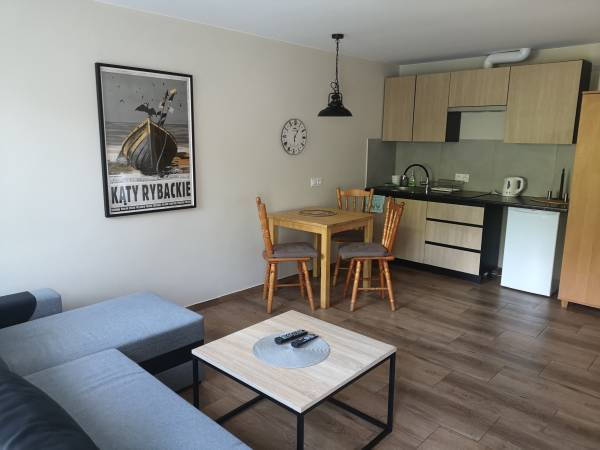Pokój z aneksem kuchennym, apartament nr 12
