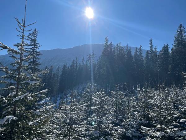 Arkadia pod Diablakiem