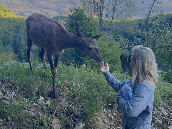 Arkadia pod Diablakiem