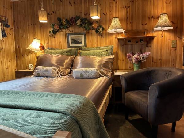 Apartamenty pod Wiciokrzewem