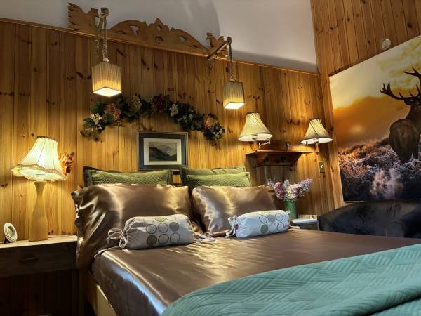 Apartamenty pod Wiciokrzewem