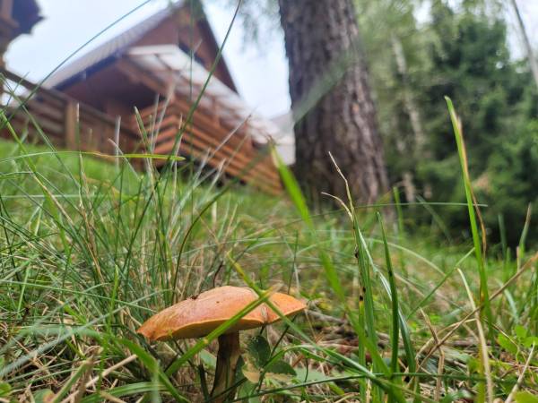 Ośrodek Wypoczynkowy Matiaszówka