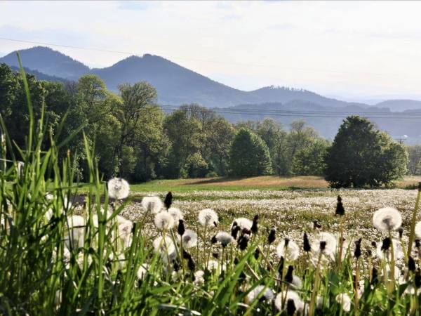 Dom Słoneczne Wzgórze