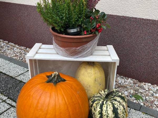 Apartament w Błażkowej 