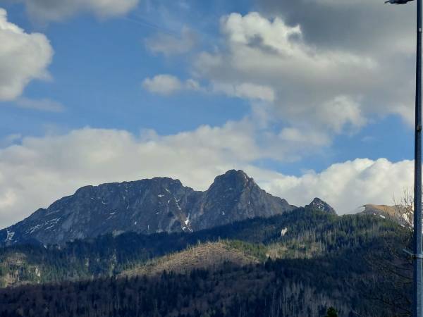 Apartament Regle & SPA