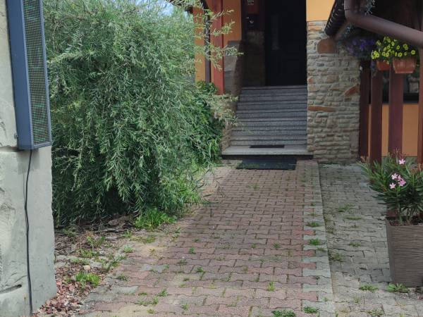 Agroturystyka Helena