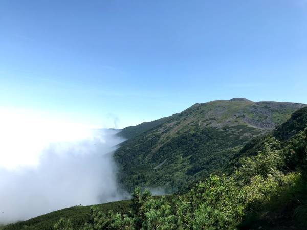 Domek nad górskim potokiem (u Doroty)