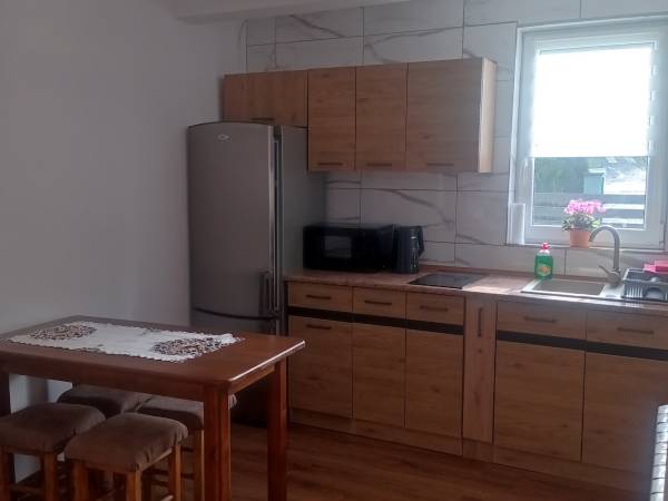 Apartament kuchnia 