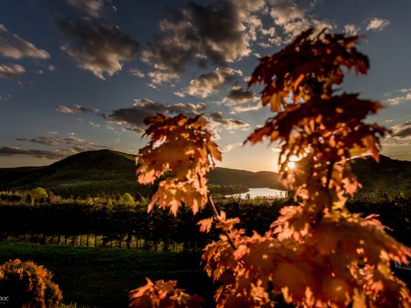 Chaty na Cholewicy Domki Całoroczne