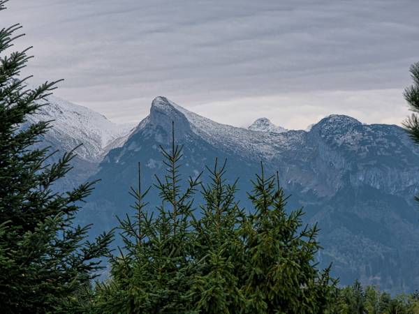 Apartament z widokiem na góry