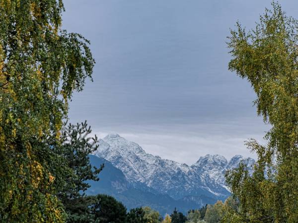 Apartament z widokiem na góry