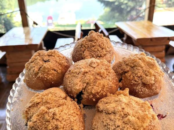 Domki przy lesie 300m od jeziora