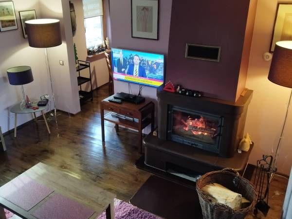 dom - salon z kominkiem