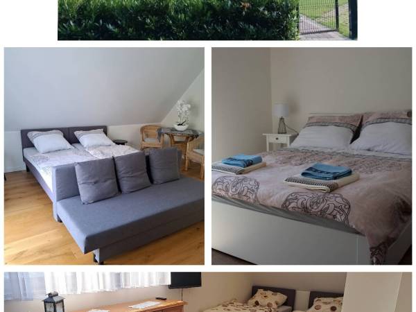 Dom w Krainie Stawów