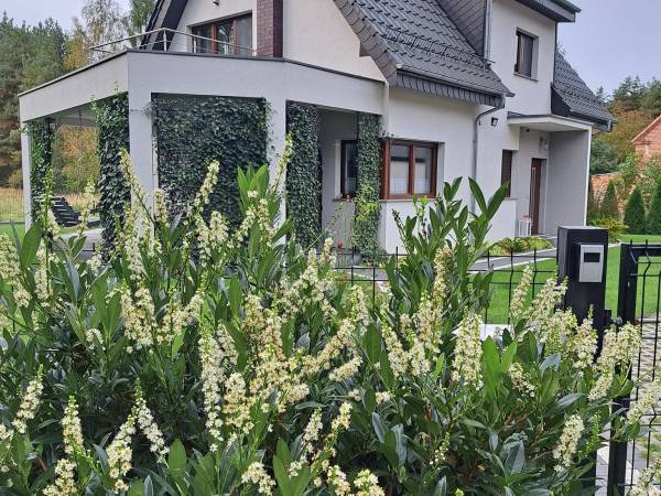 Dom w Krainie Stawów