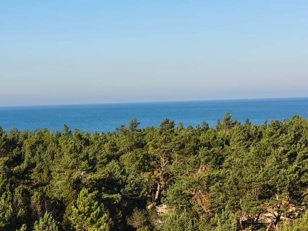 Domki Ruchome Piaski