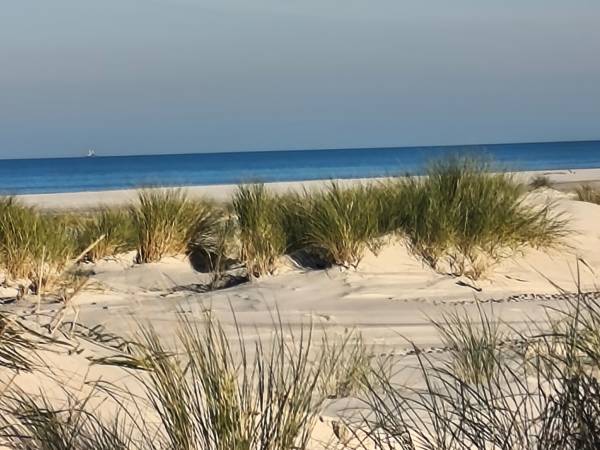 Domki Ruchome Piaski