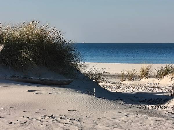 Domki Ruchome Piaski