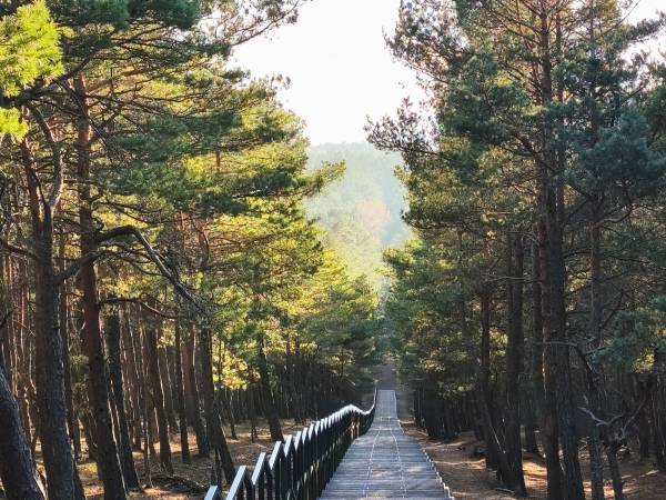 Domki Ruchome Piaski