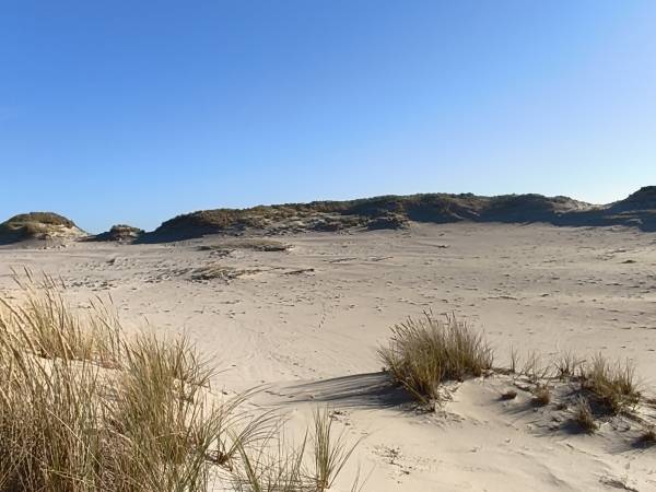 Domki Ruchome Piaski