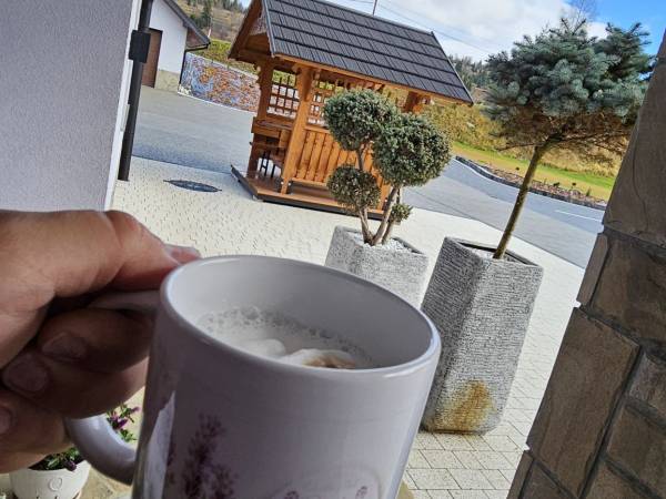 Willa pod górską lawendą