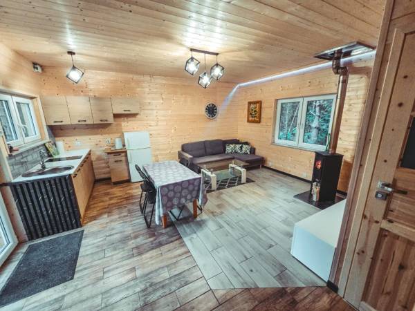 Domek z stawem w lesie SAUNA (BALIA)