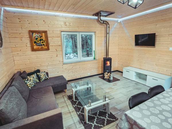 Domek z stawem w lesie SAUNA (BALIA)