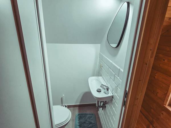 Domek z stawem w lesie SAUNA (BALIA)