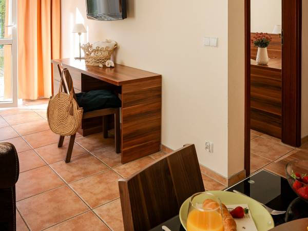 apartament z salonem i jedną sypialnią